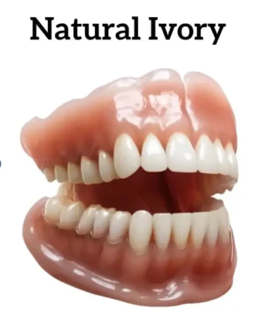 BBOJI™ Silicone Full Denture Set