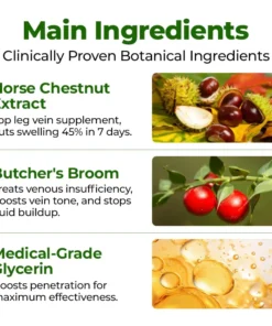 BBOJI® Professional Leg Circulation Cream