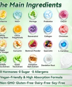 BBOJI™ 10-in-1 Micro-Patch Tech Weight Management Skin Support Visible Results