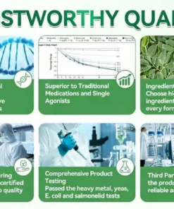 BBOJI™ 10-in-1 Micro-Patch Tech Weight Management Skin Support Visible Results