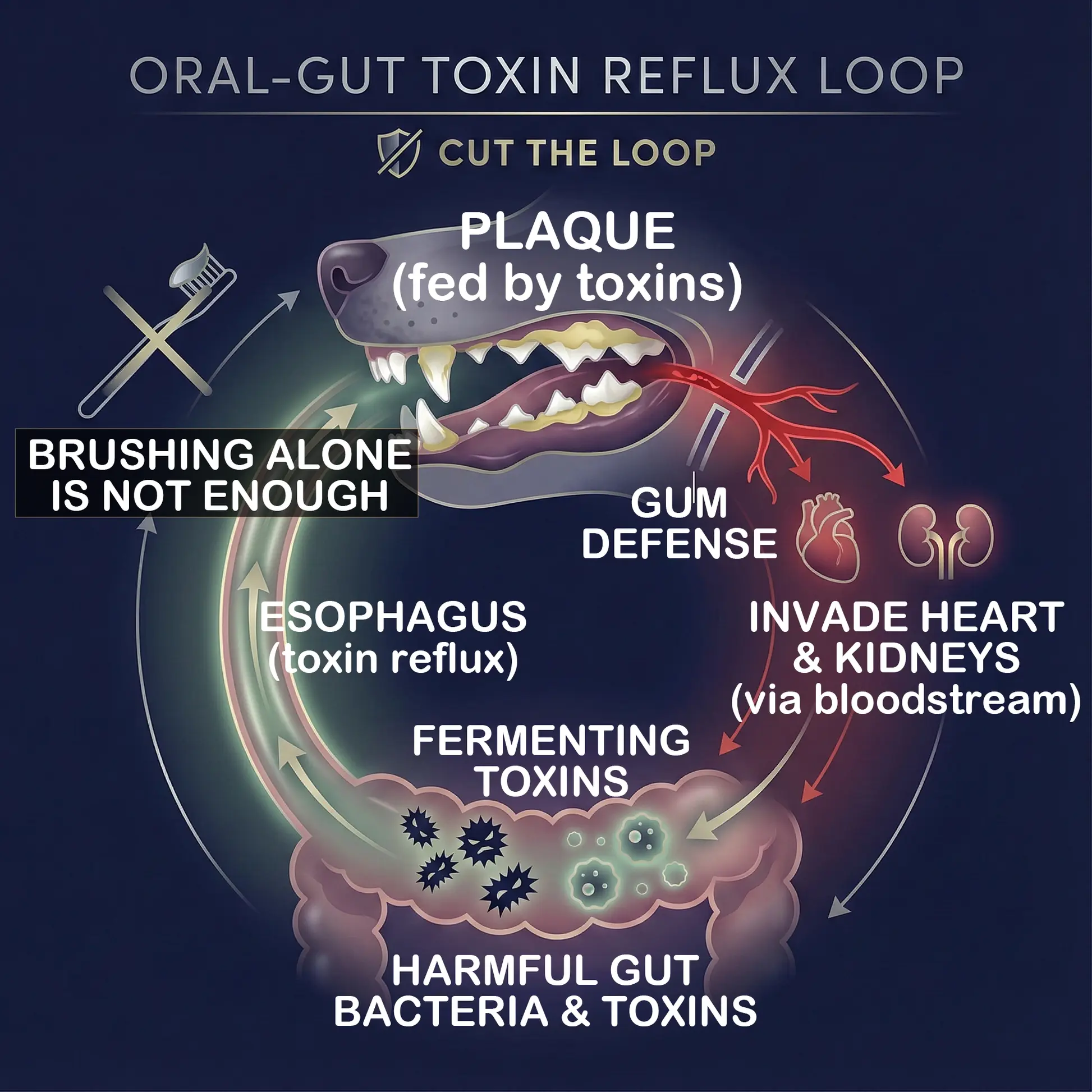 BBOJI® Pet Dental & Digestive Health Oral Liquid