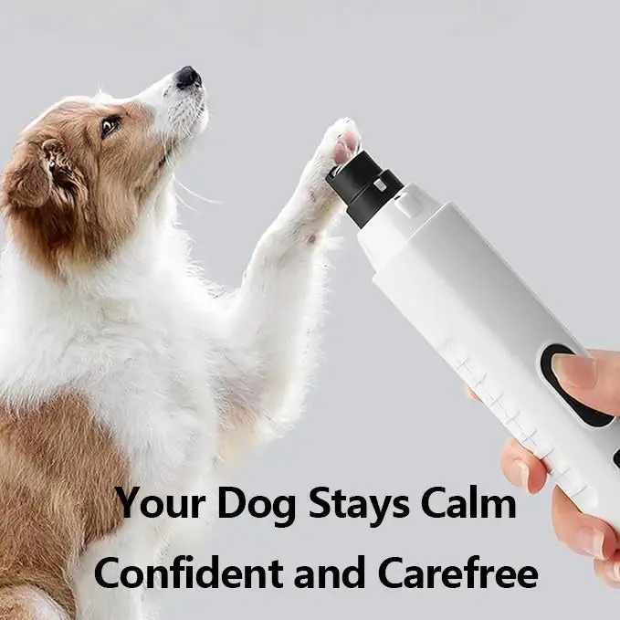 BBOJI® Precision Pet Nail Grinder