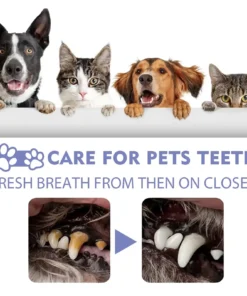 BBOJI™ No-Brushing Oral Care Spray for Dogs & Cats