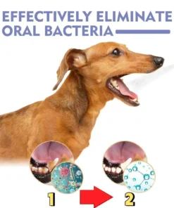 BBOJI™ No-Brushing Oral Care Spray for Dogs & Cats