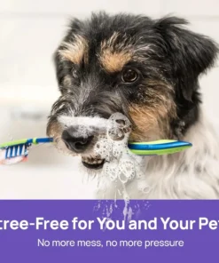 BBOJI™ No-Brushing Oral Care Spray for Dogs & Cats